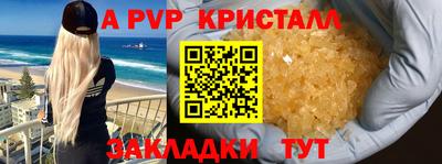 стаф Кинель